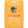thumbnail image 3 of Iams Proactive Health Chicken Dry Dog Food For Puppies, 15 Lb Bag, 3 of 12