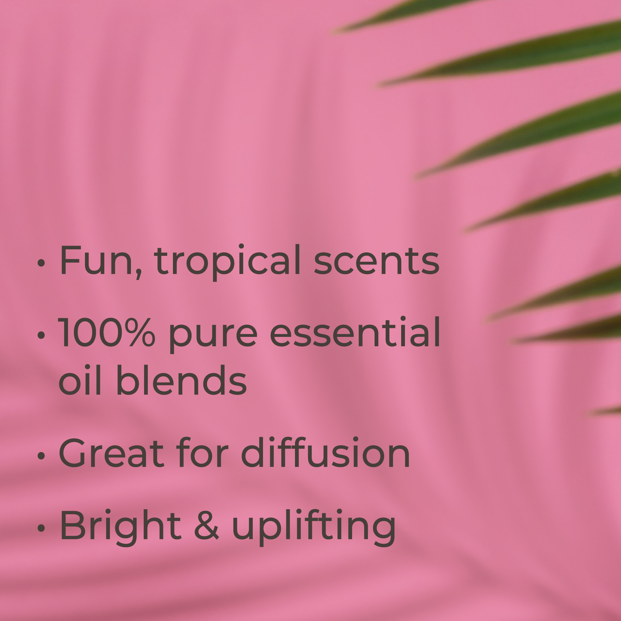 LAGOON ESSENTIALS www.lagoonessentials.com - Cotton Candy Essential Oil  Blend