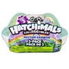 Hatchimals CollEGGtibles Season 3 - RHYTHM RAINBOW - 2 pack Egg Carton