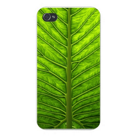 Apple Iphone Custom Case 5 / 5s White Plastic Snap on - Closeup Green Leaf w/