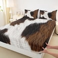 thumbnail image 4 of Erosebridal Farmhouse Cow Print Queen Sheet Sets 4 Pieces For Boys Girls,Black Brown White Bed Set For Teens Adults, 4 of 5