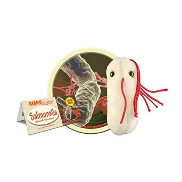 Peluche de Salmonella de Giantmicrobes: aprenda sobre la seguridad alimentaria, las bacterias y la salud intestinal con este regalo divertido y único para amigos, familias, profesores, chefs, médicos,