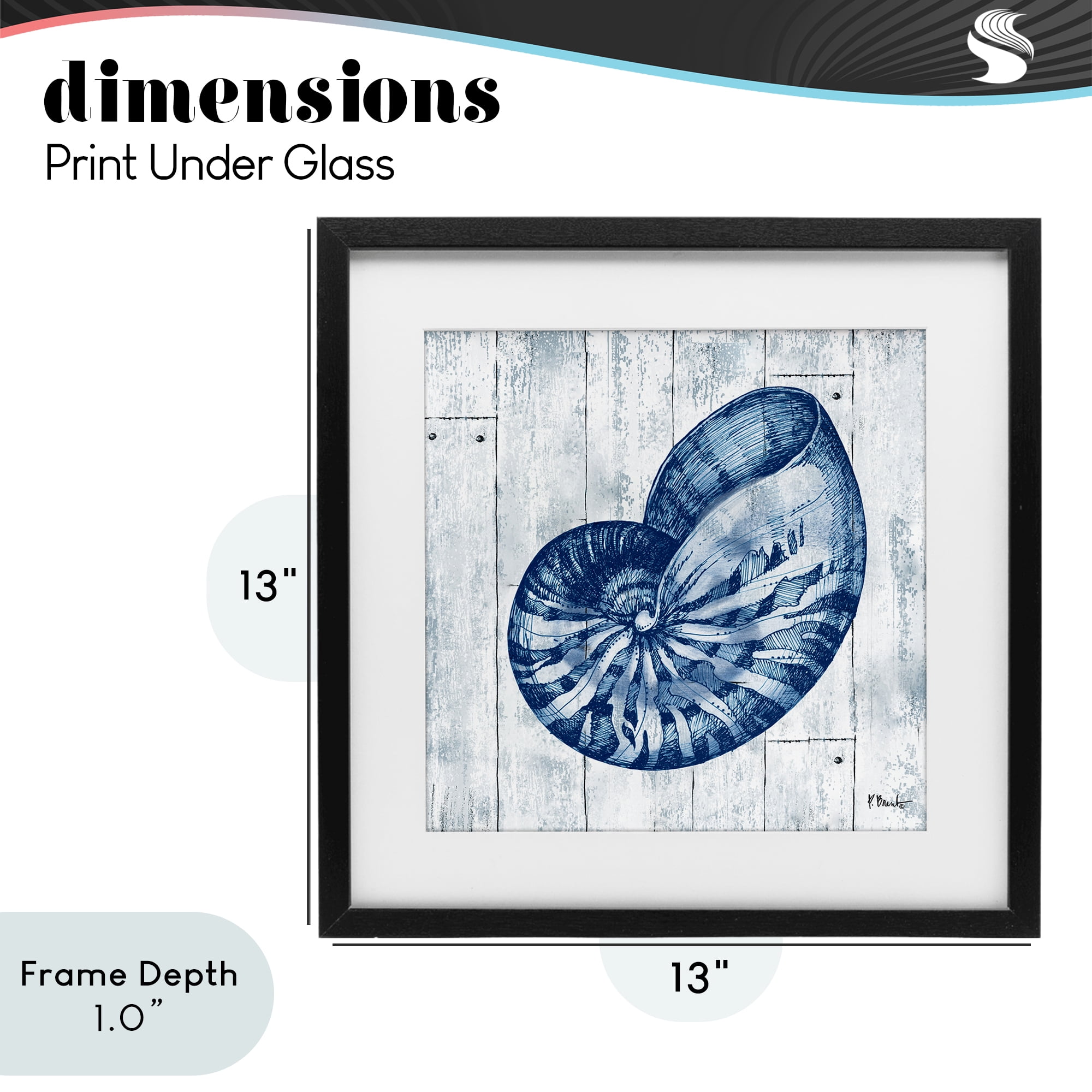 Stupell Industries Coastal Timberland Nautilus Black Framed Print Under Glass, design by Paul Brent
