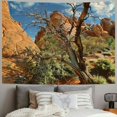 thumbnail image 2 of BCIIG Desert Landscape Rocks Tapestry Wall Hanging Unique Style Graphic Tapestries Home Wall Decor Art for Living Room Bedroom Dorm Farmhouse Apartment 60x50inch, 2 of 6