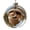 F, variant on Forest Animal Acorn Ornaments,Cozy Forest Woodland Christmas Ornaments,Wildlife Wonders Collection Crystal Glass Ornament,Animal Figurines in Christmas Ball for Winter Holiday Decor