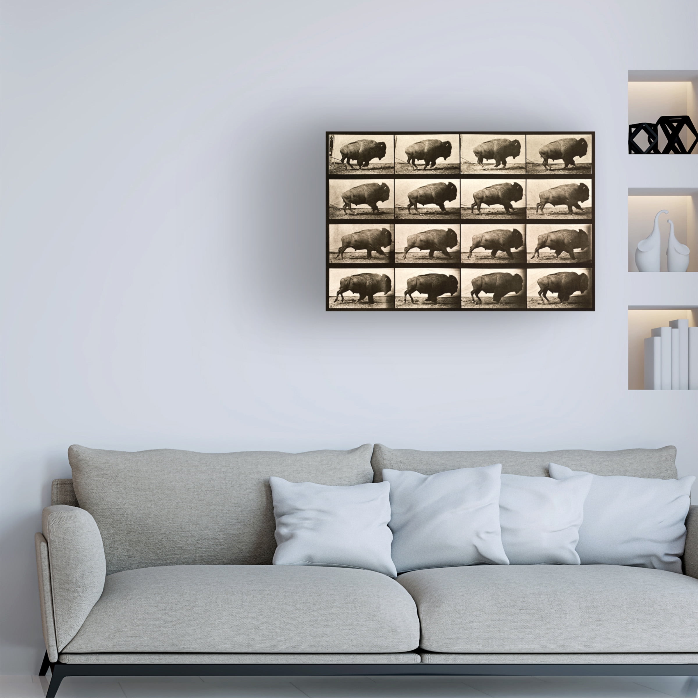 Print Collection 'Buffalo Running Animal Locomotion Plate 700' Canvas Art