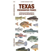 Texas Freshwater Fishes : A Waterproof Folding Guide to Native and Introduced Species (Other)