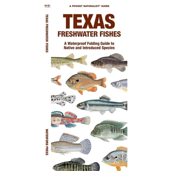 Texas Freshwater Fishes : A Waterproof Folding Guide to Native and Introduced Species (Other)