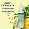 thumbnail image 2 of Spray desodorizante para gatos MRS. MEYER'S CLEAN DAY Sweet Chamomile 240 ml, 2 of 9