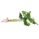 thumbnail image 5 of CRILSTYLEO Planta Artificial Resistente Monstera Para De Espacios En Color Verde Natural, 5 of 7