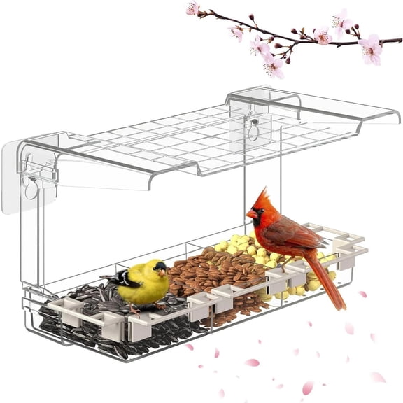 Removable Tray & Drain Holes for Bird Watching Clear Window Bird Feeder