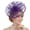 Purple, variant on Creative Tulle Hair Decoration Headwear Elastic Hair Band For Easy Wearing Ideal For Bridesmaids And Dancers