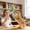 Green_Base#5677, variant on Interactive Cat Feather Toy with Bells for Play and Exercise – Durable, Replaceable Feathers and Spring Rotation for Kitten Training and Obesity Control