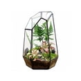 thumbnail image 1 of Outdor Geometric Glass Suitable For Small Succulents Small Cacti Black Irregular Opening Indoor Home Garden Desktop, 1 of 4