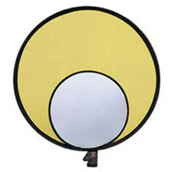Promaster 3822 SystemPRO ReflectaDisc  12" Silver/Gold