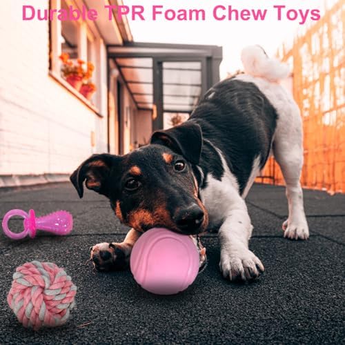 20 Pack Pink Puppy Chew Toys - Dog Teething Toys for Puppies, Puppy Toys Toothbrush with Ropes, Soft Dogs Toy Bundle for Small Dogs, Cute Interactive Dog Balls for Chewers