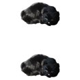 thumbnail image 3 of Wosthever Gatos durmientes realistas de la decoración mezclada para los buenos regalos del tacto lindo y seguro suaves al tacto negro 2Conjunto, 3 of 6