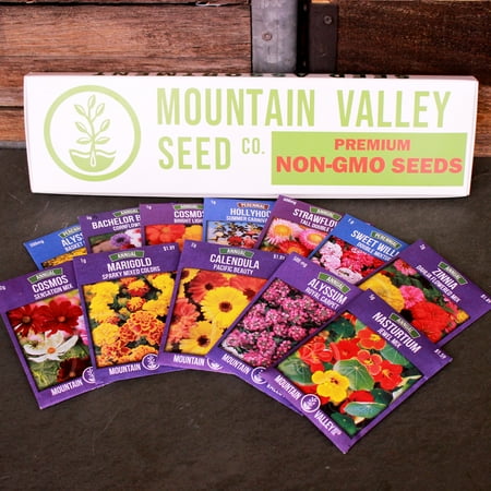 Nasturtium Seed Packet Annual Flower Garden Seed Collection - Deluxe Assortment - 12 Flower Gardening Seed Packets: Nasturtium, Hollyhock, Sweet William, Strawflower, More ()