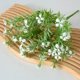 thumbnail image 1 of Xiao Hua 2 piezas de flores artificiales de tacto real para decoración del hogar, oficina, boda, arreglo floral (blanco, 36 cm de largo), 1 of 5