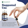 thumbnail image 4 of Rejuvica Active Kava Kava - Noble Kava Kava Roots w/ Natural Kavalactones - Supports Calm Relaxation, 4 of 7