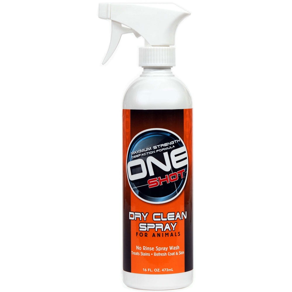 Best Shot One Shot Dry Clean Spray 16oz
