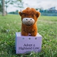 thumbnail image 4 of Adopt A Highland Cow Plush, Cute Cow Stuffed Animal Fluffy Cow Figure Toys NEW, 4 of 5