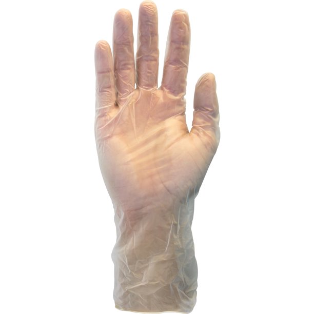 Powdered Clear Vinyl Gloves