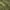Olive, variant on Addison Rugs Chantille Indoor/Outdoor Transitional Stripes Olive Washable Rectangle Rug, 10' x 14'