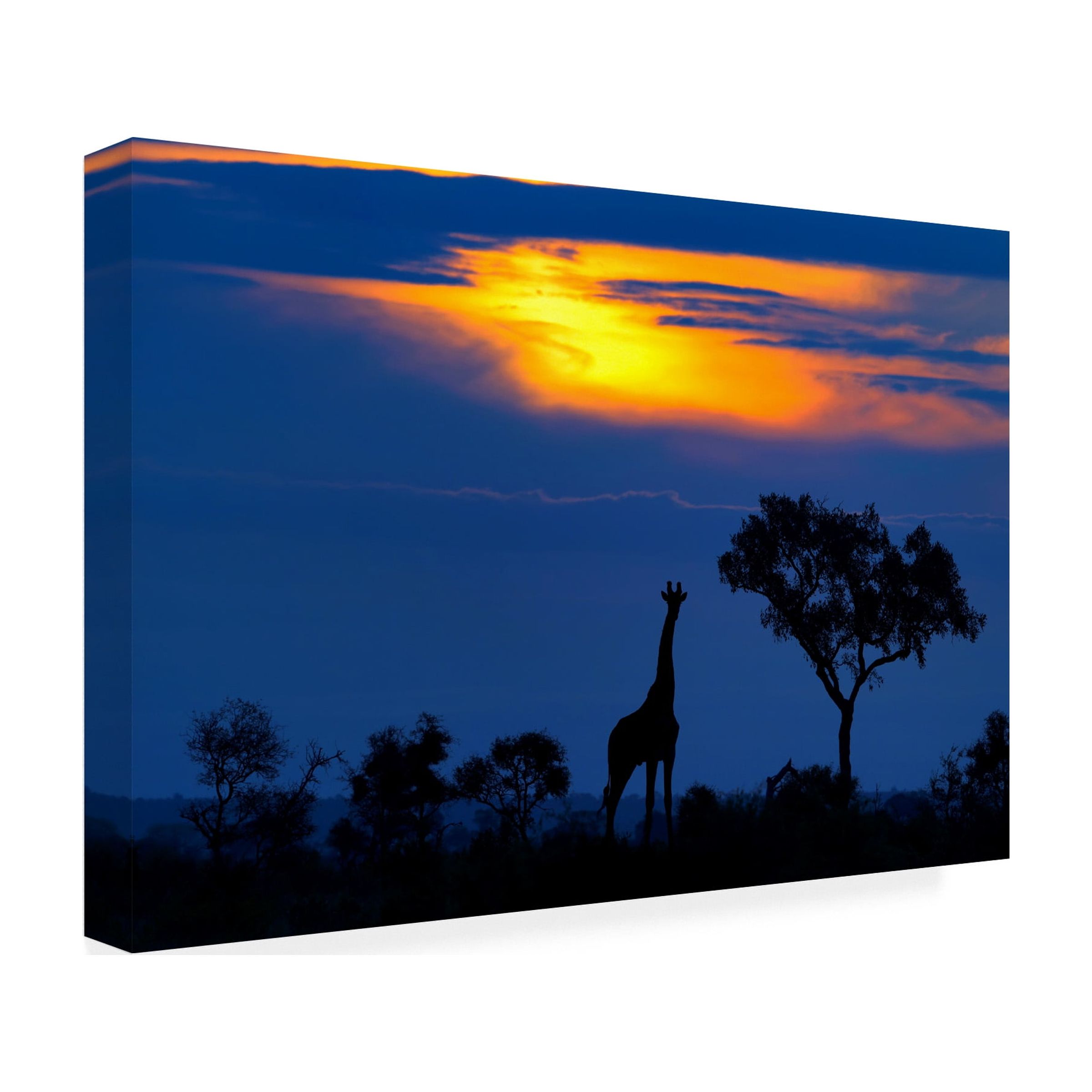 Mario Moreno 'A Giraffe At Sunset' Canvas Art