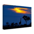 thumbnail image 4 of Mario Moreno 'A Giraffe At Sunset' Canvas Art, 4 of 4