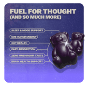 Nutrops by Gruns - Nootropic Mushroom Gummies with Lions Mane for Brain Health Support, 12 Count