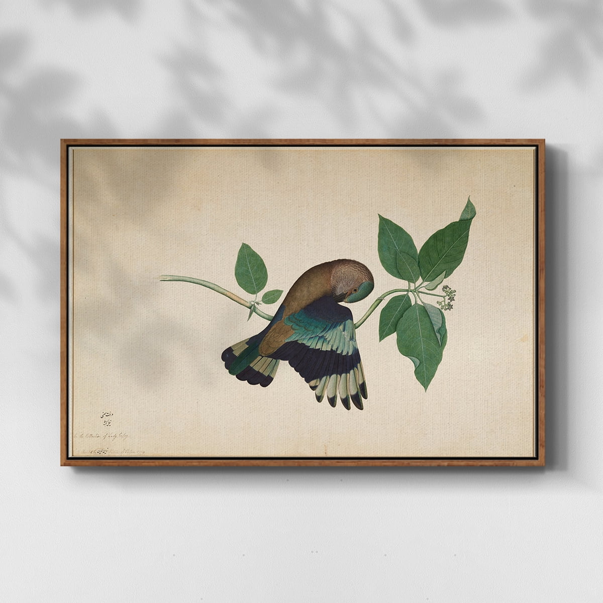 Vintage Animal Print-XXII By Wexford Home Framed in Walnut Wood Gallery Wrapped Canvas 17 in. x 25 in.