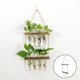 thumbnail image 3 of Jardinera para colgar en , 2 estaciones de propagación de plantas en niveles, terrario de plantas con soporte de , maceta de , jar, 3 of 8