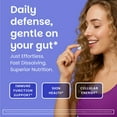 thumbnail image 4 of EZ Melts Dissolvable Zinc Supplement 30 mg, Sugar-Free, 2-Month Supply - 1 Pack, 4 of 10