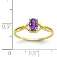 thumbnail image 4 of Primal Gold 10 Karat Yellow Gold Genuine Amethyst Birthstone Ring, 4 of 7