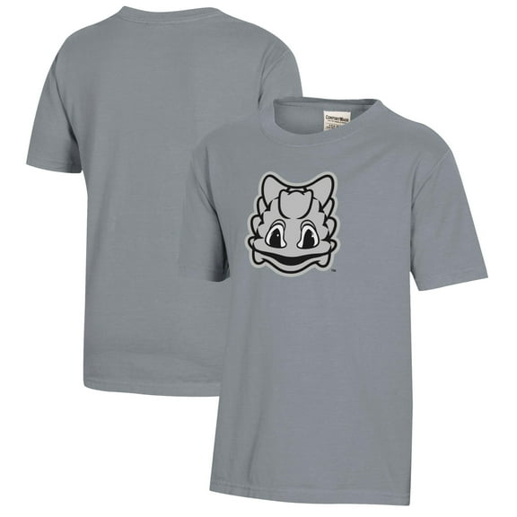Youth  Gray TCU Horned Frogs Logo Comfort Wash T-Shirt