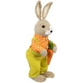 thumbnail image 4 of Northlight Standing Boy Rabbit with Carrot Easter Figure - 16" - Orange and Green, 4 of 6