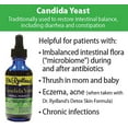 thumbnail image 6 of Dr. Rydland's - Hrbl Formula Candida Yst - 1 Each - 2 OZ, 6 of 6