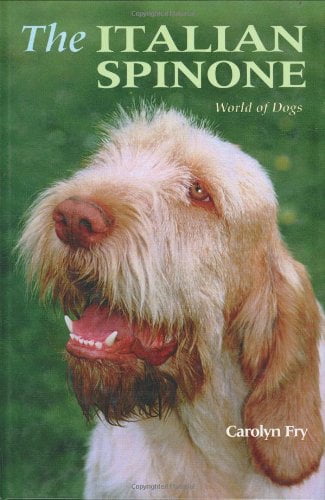 are spinone italianos intelligent dogs