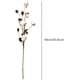 thumbnail image 2 of Tallos de algodón para decoración rústica, 3 piezas de 68 cm de flores artificiales de aspecto natural, flores secas hechas a mano para jarrones, ramas decorativas con bolas de algodón 100 % reales, 2 of 5