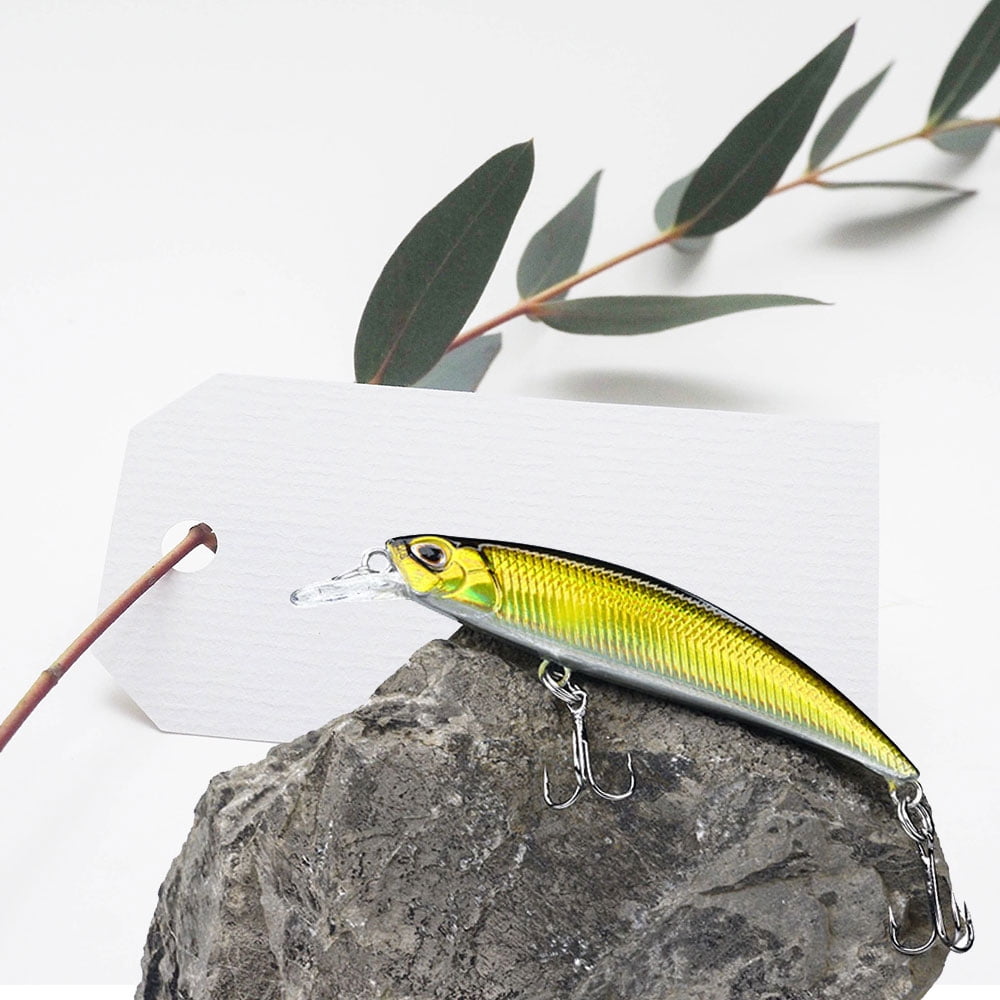 HENGJIA Fishing Lures Large Hard Bait Minnow VIB Lure with Treble Hook Life-Like Swimbait Fishing Bait Popper Crankbait Sinking Lure for Trout Bass Walleye Redfish, 10PCS