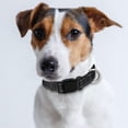 thumbnail image 7 of LNJBABAO 3 Pcs Reflective Dog Collar for Small Medium Large Dogs Black S, 7 of 7