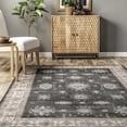 thumbnail image 3 of nuLOOM Mollie Machine Washable Traditional Border Area Rug, 3' x 5', Charcoal, 3 of 11