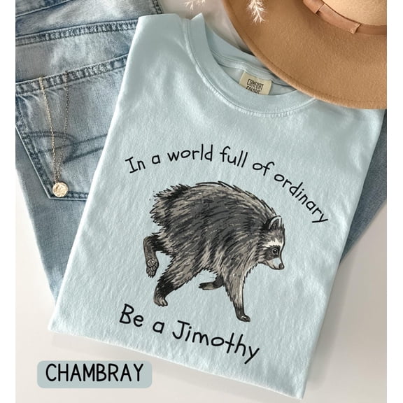 Jimothy Raccoon Shirt, Be a Jimothy Comfort Tee, Kindness Matters Tee, Inspirational T-Shirt, Mental Health Awareness Shirt Multicolor