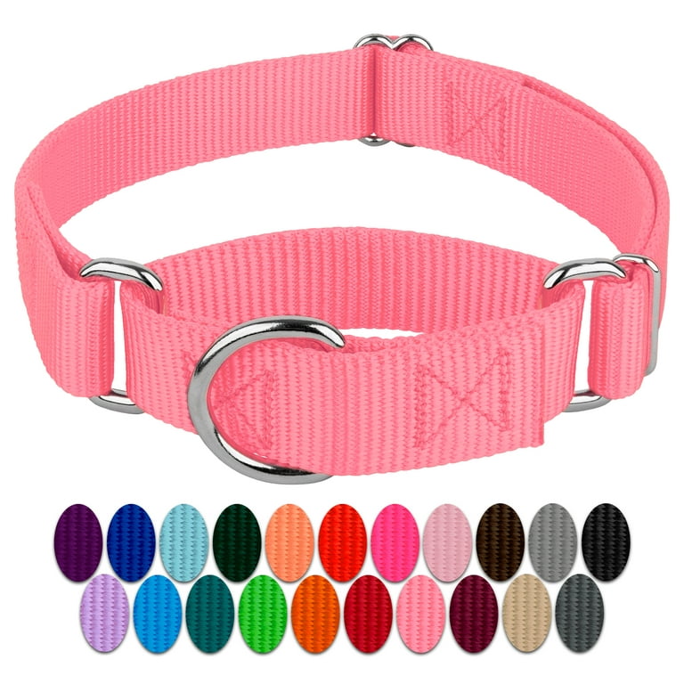 Extra small hotsell martingale dog collar