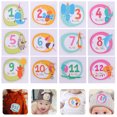 thumbnail image 3 of 1 Set Baby Monthly Milestone Stickers Animals Month Sticker for Boy and Girl, 3 of 7