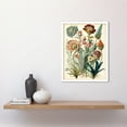 thumbnail image 2 of Ernst Haeckel Inspired Vintage Botanical Plant Study Modern Watercolour Painting Illustration Art Print Framed Poster Wall Decor 12x16 inch, 2 of 5