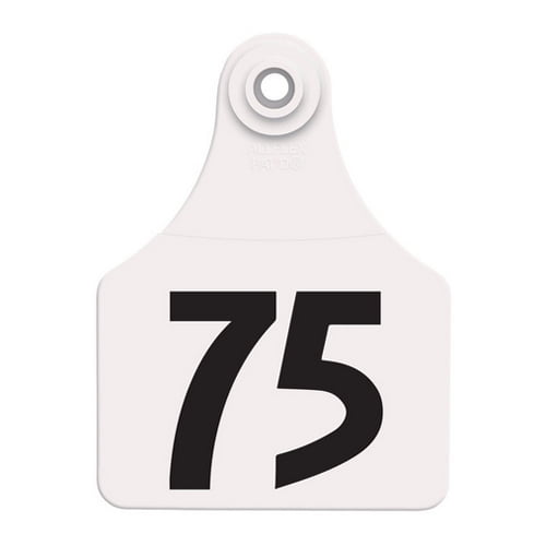 Allflex Global Ear Tag, 3" x 2.25", Large, White, [51-75]