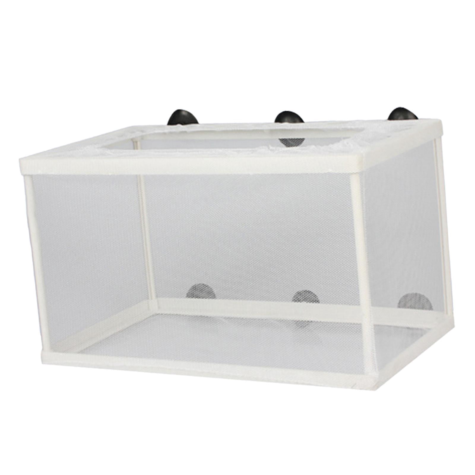 breeding net fish tank Container It is ideal for separating pregnant females from other tankmates ventilated guppy breeding net breeding