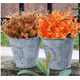thumbnail image 5 of Xiao Hua flores artificiales de eucalipto, flores falsas, flores artificiales para decoración de bodas, 5 of 5